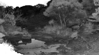 Still 1 from this detection