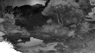 Still 2 from this detection
