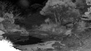 Still 3 from this detection