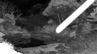 Still 1 from this detection