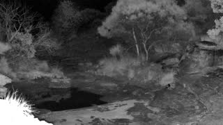 Still 3 from this detection