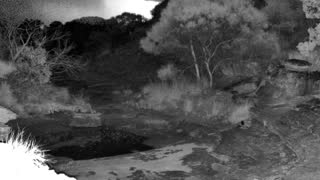 Still 1 from this detection