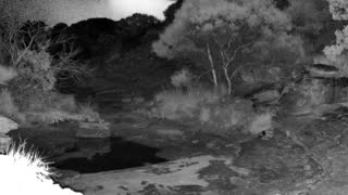 Still 2 from this detection
