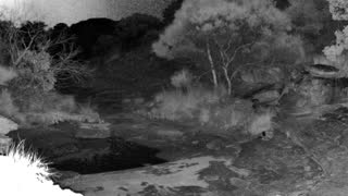 Still 1 from this detection
