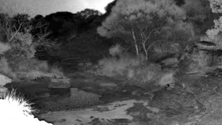 Still 3 from this detection