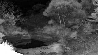 Still 1 from this detection