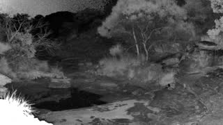 Still 2 from this detection