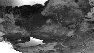 Still 3 from this detection
