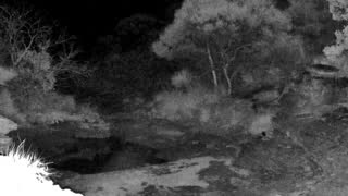 Still 2 from this detection