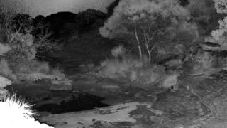 Still 2 from this detection