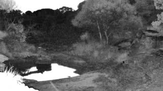 Still 3 from this detection