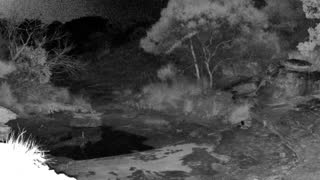 Still 1 from this detection