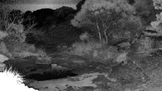 Still 1 from this detection