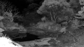 Still 2 from this detection