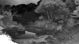 Still 2 from this detection