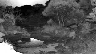 Still 1 from this detection