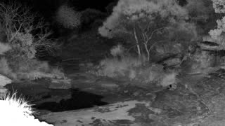 Still 2 from this detection