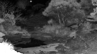 Still 2 from this detection