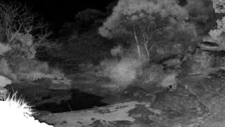 Still 3 from this detection
