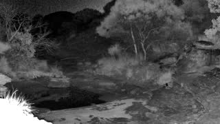 Still 1 from this detection