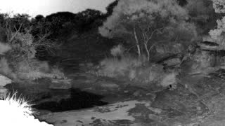 Still 1 from this detection