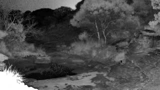 Still 1 from this detection