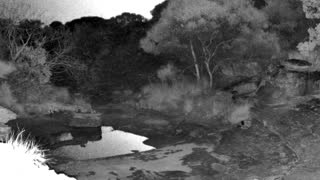 Still 2 from this detection