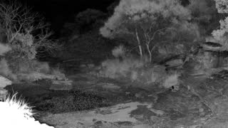 Still 1 from this detection