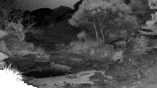 Still 2 from this detection