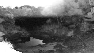Still 1 from this detection