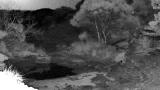 Still 3 from this detection