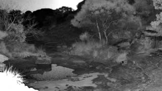 Still 1 from this detection
