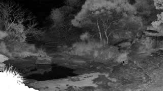 Still 2 from this detection