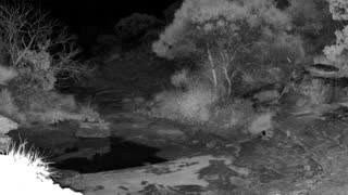 Still 1 from this detection