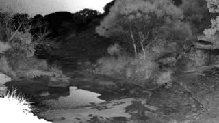 Still 2 from this detection