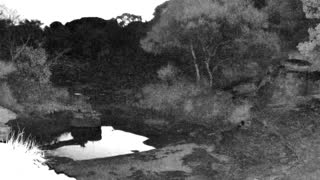 Still 1 from this detection