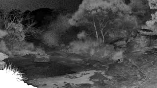 Still 2 from this detection