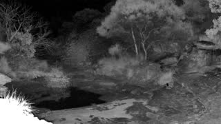 Still 3 from this detection
