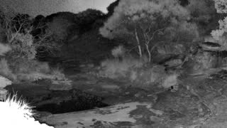 Still 1 from this detection