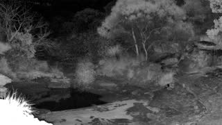 Still 2 from this detection
