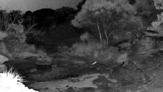 Still 2 from this detection