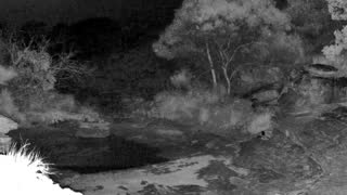 Still 1 from this detection