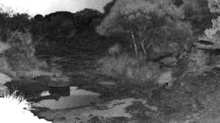 Still 2 from this detection