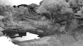 Still 2 from this detection