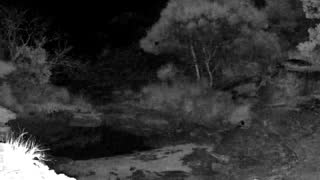 Still 2 from this detection