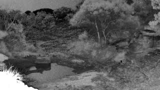 Still 1 from this detection