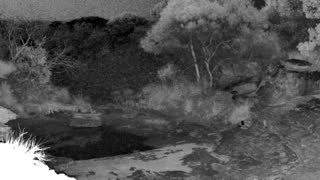 Still 1 from this detection