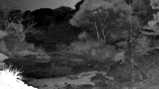 Still 3 from this detection