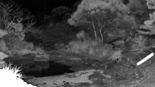 Still 3 from this detection