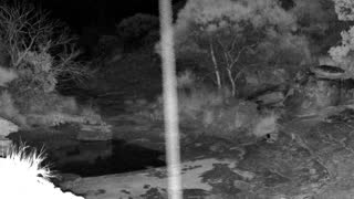 Still 3 from this detection